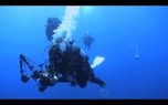 diver